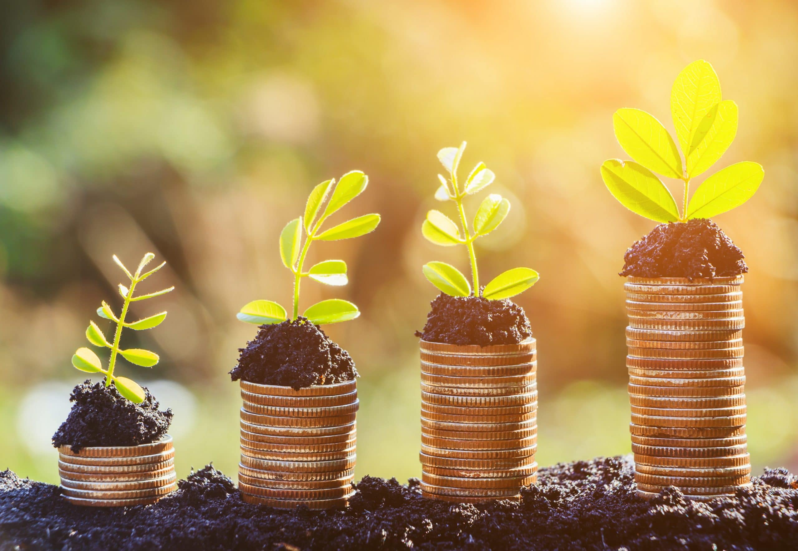 Growing plant on row of coin money , csr in business veille RSE Sindup
